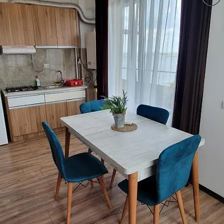 Apartment Ionut Summerland